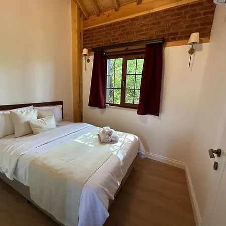 Arancia - Garden, Bbq, Sauna & Turkish Bath By The Tram In Fatih Villa Istanbul