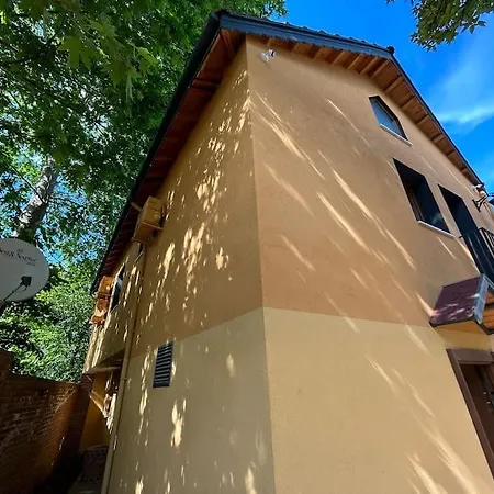Arancia - Garden, Bbq, Sauna & Turkish Bath By The Tram In Fatih Villa Istanbul