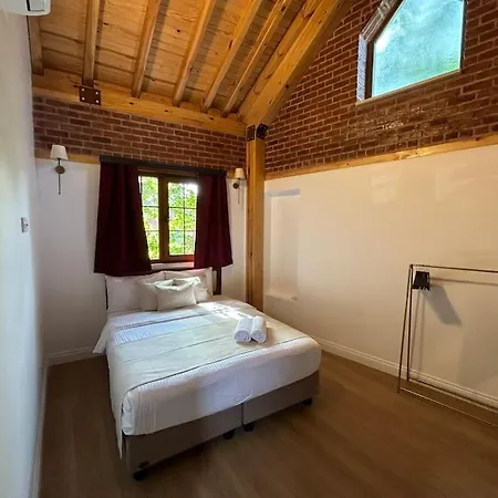 Villa Arancia - Garden, Bbq, Sauna & Turkish Bath By The Tram In Fatih