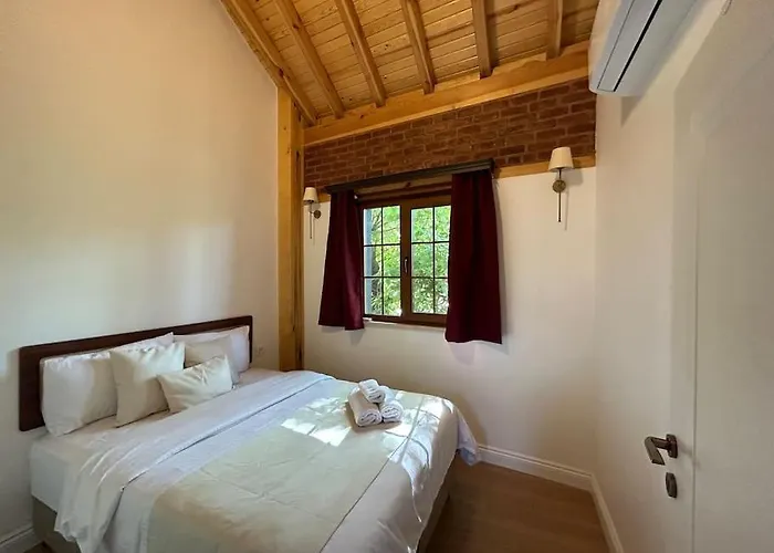 Arancia - Garden, Bbq, Sauna & Turkish Bath By The Tram In Fatih 이스탄불