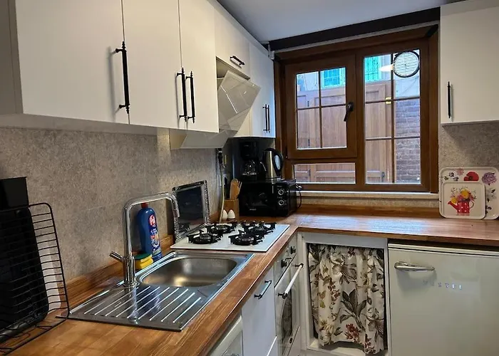 Arancia - Garden, Bbq, Sauna & Turkish Bath By The Tram In Fatih