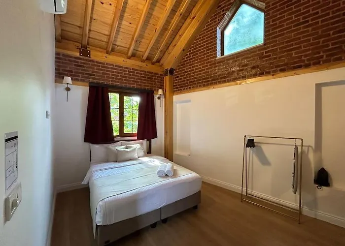 Arancia - Garden, Bbq, Sauna & Turkish Bath By The Tram In Fatih 이스탄불